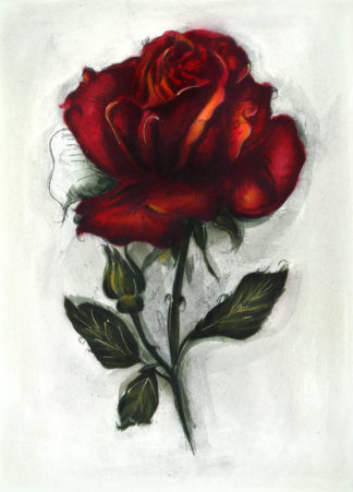original-radierung - Rose - 1420